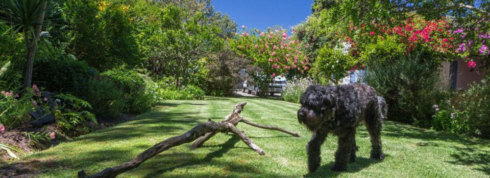 Hotel Cornerway House Plettenberg Bay Esterno foto